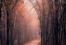 德信体育平台：英超第15輪曼聯1-0水晶宮 弗雷德吊射世界波.