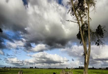 2024中国坐标·上海城市定向户外挑战赛开赛.