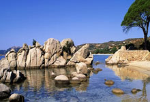 英超第17輪曼聯3-0諾丁漢森林 曼聯太子傳射建功！曼聯主場六連勝！.